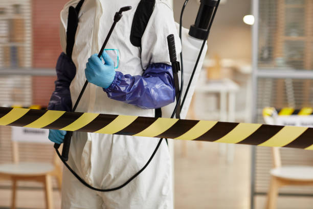 Professional Biohazard technician working in Alamo, TX